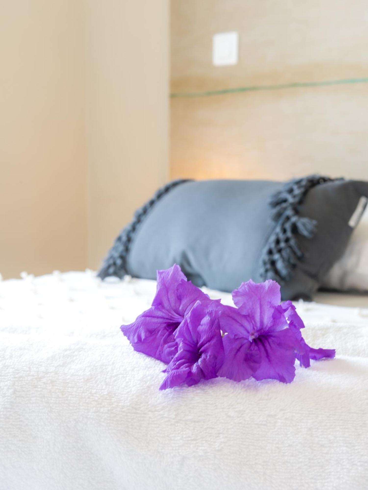 Hotel Iloma Sainte-Luce Dış mekan fotoğraf